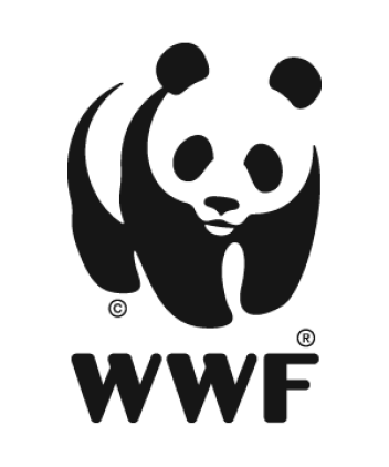 58568d4c4f6ae202fedf2721 58568d4c4f6ae202fedf2721