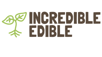 IE MAIN LOGO.001 (1) IE MAIN LOGO.001 (1)