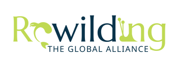 Rewilding-Logo-Color Rewilding-Logo-Color